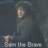 Sam the Brave